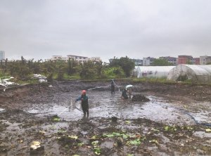 柏乡河道鱼塘清淤